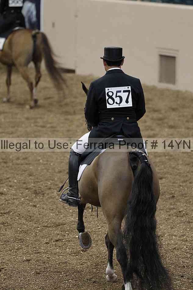 Proof 14yn_01847