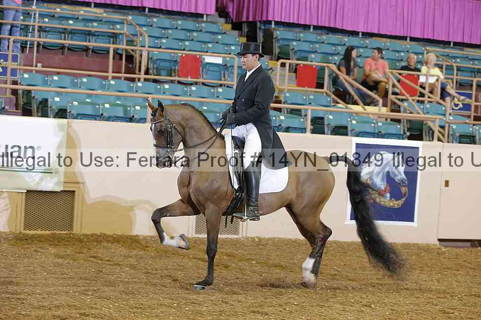 Proof 14yn_01849