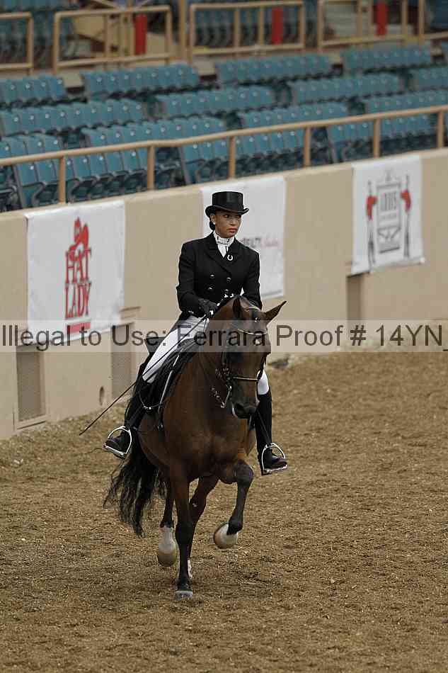 Proof 14yn_01856