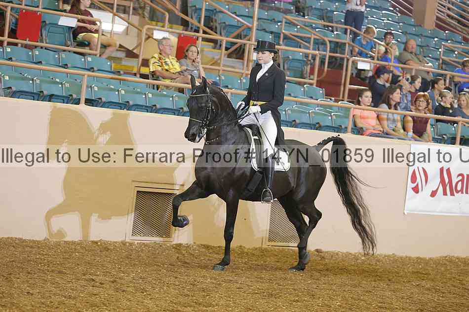 Proof 14yn_01859