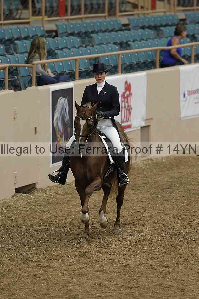 Proof 14yn_01880