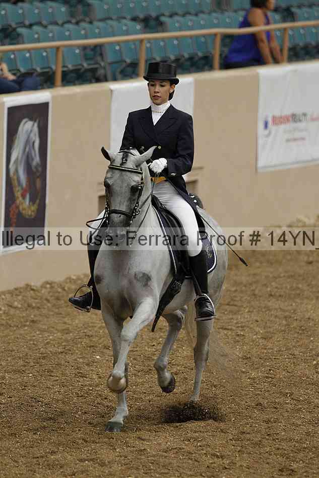 Proof 14yn_01883
