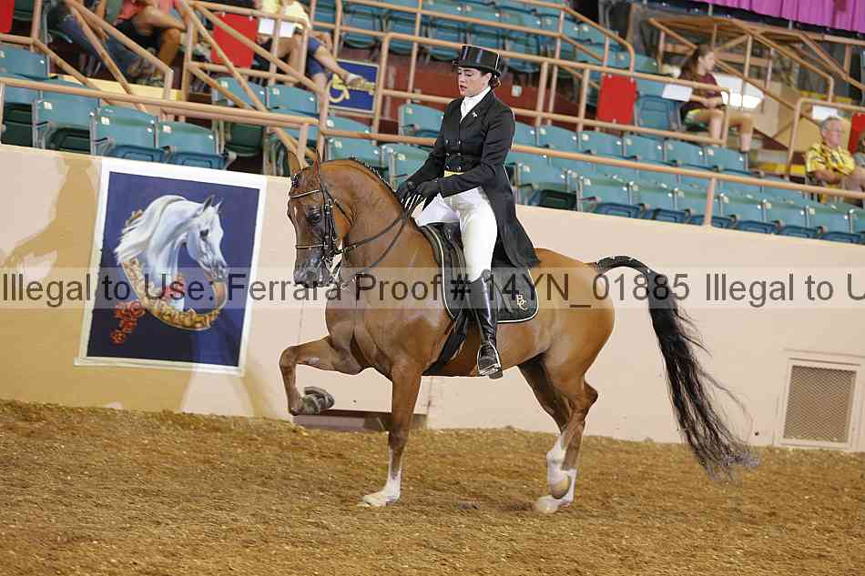 Proof 14yn_01885