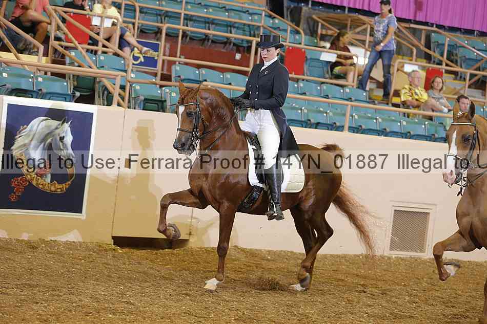 Proof 14yn_01887