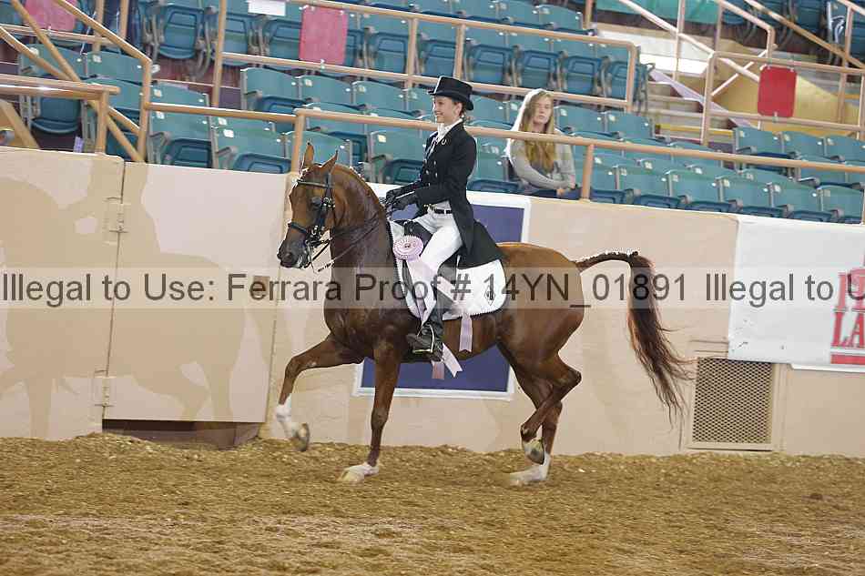 Proof 14yn_01891
