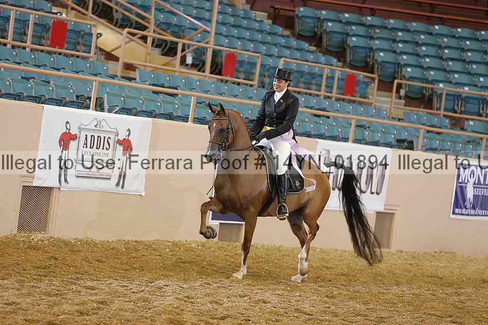 Proof 14yn_01894