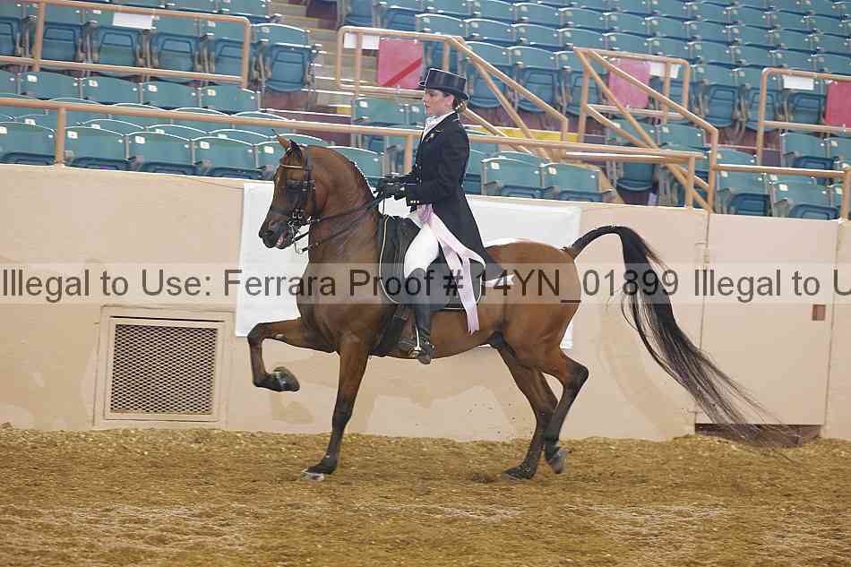 Proof 14yn_01899