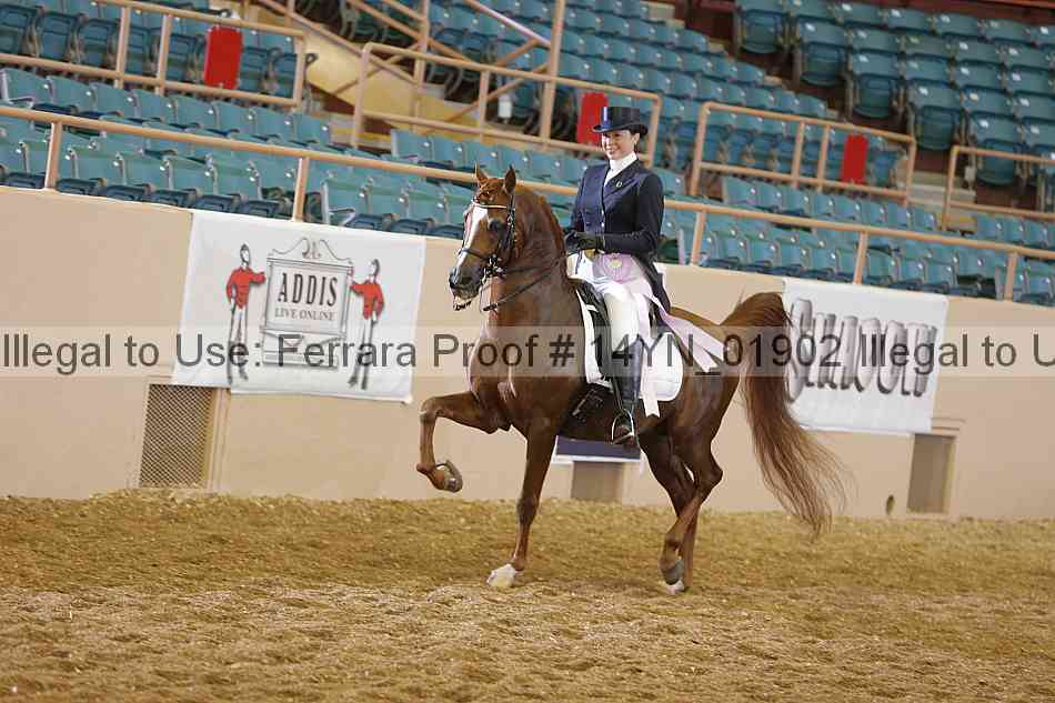 Proof 14yn_01902