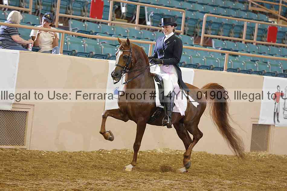 Proof 14yn_01903