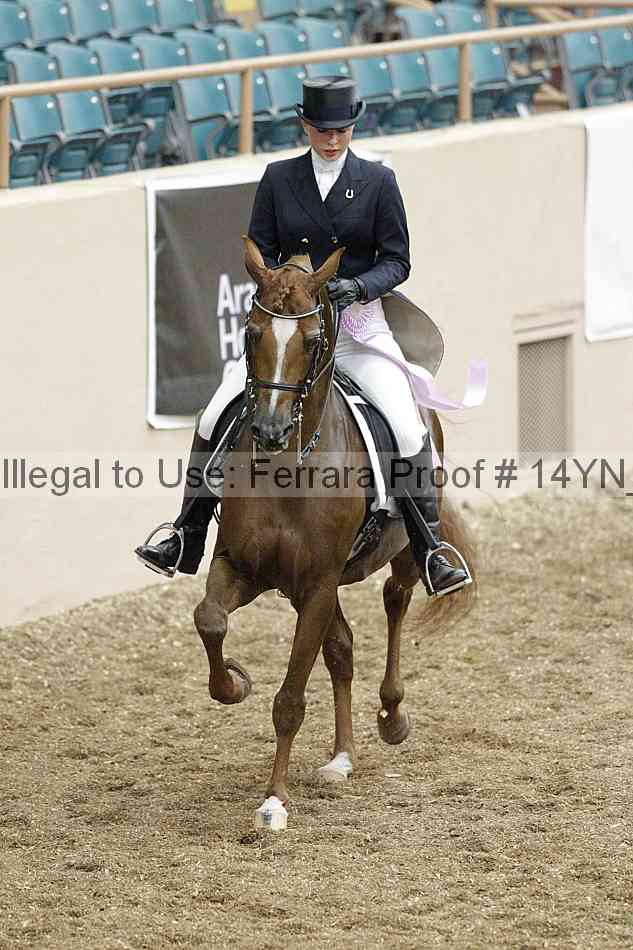 Proof 14yn_01904