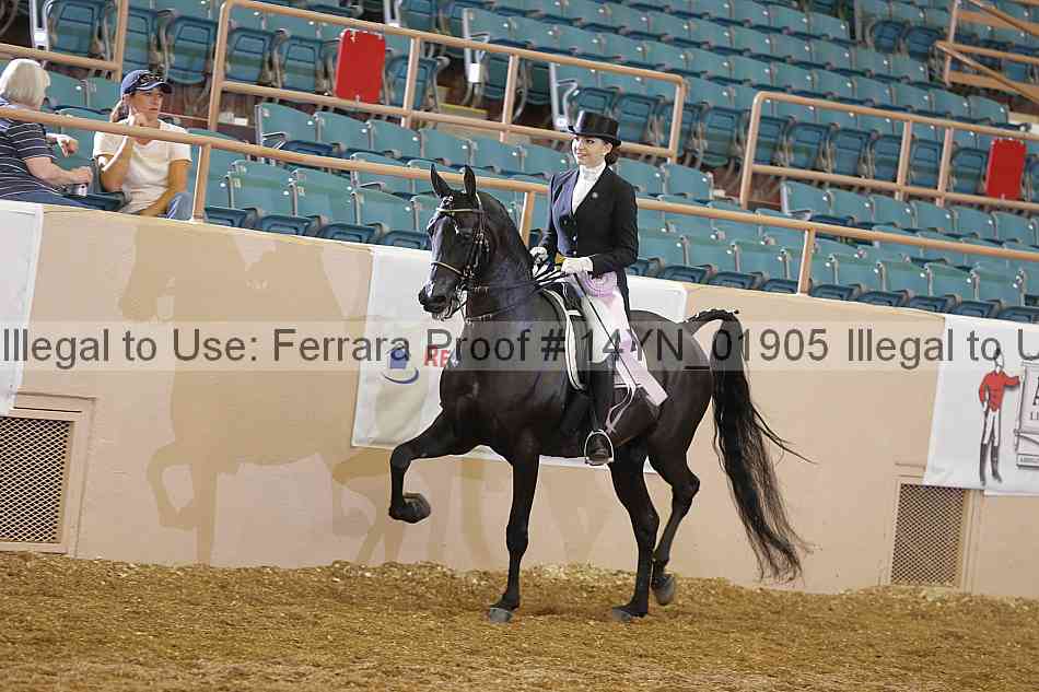 Proof 14yn_01905