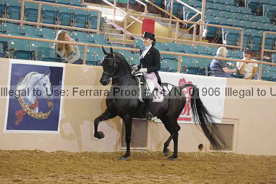 Proof 14yn_01906