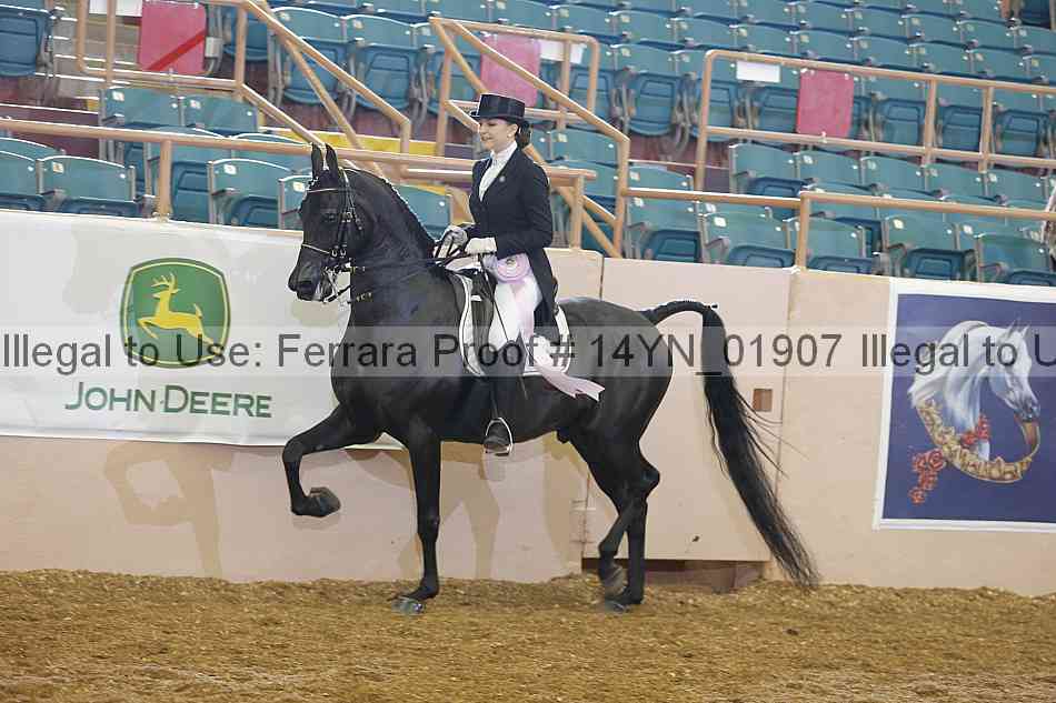 Proof 14yn_01907