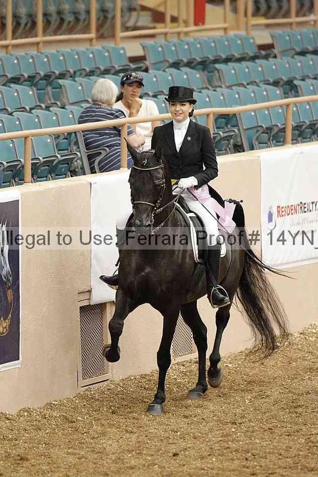Proof 14yn_01908