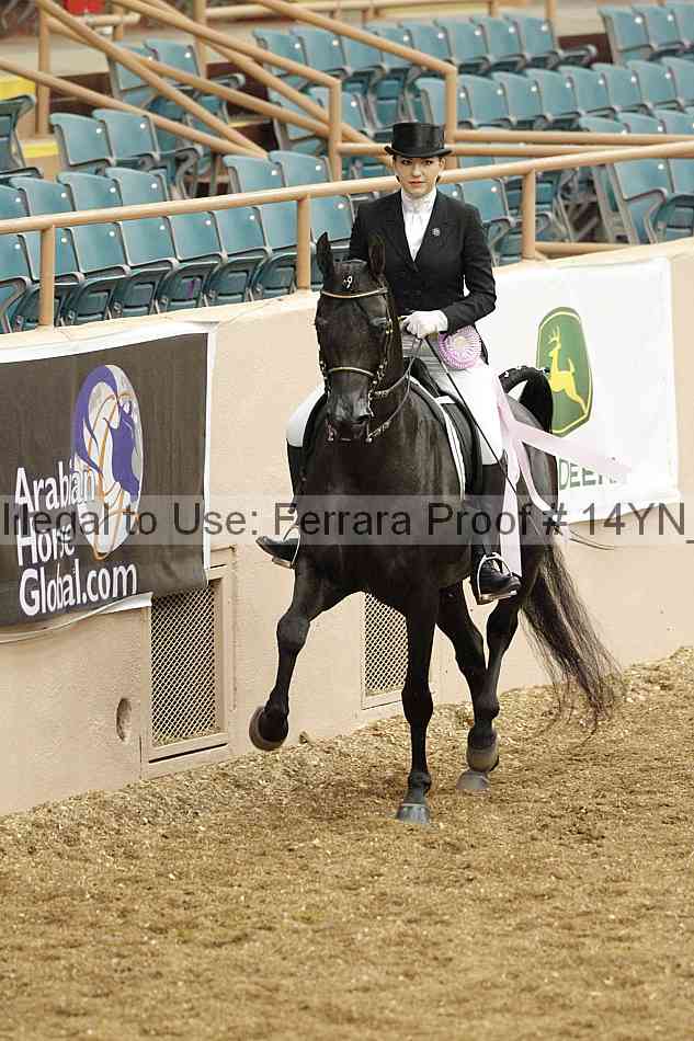 Proof 14yn_01909
