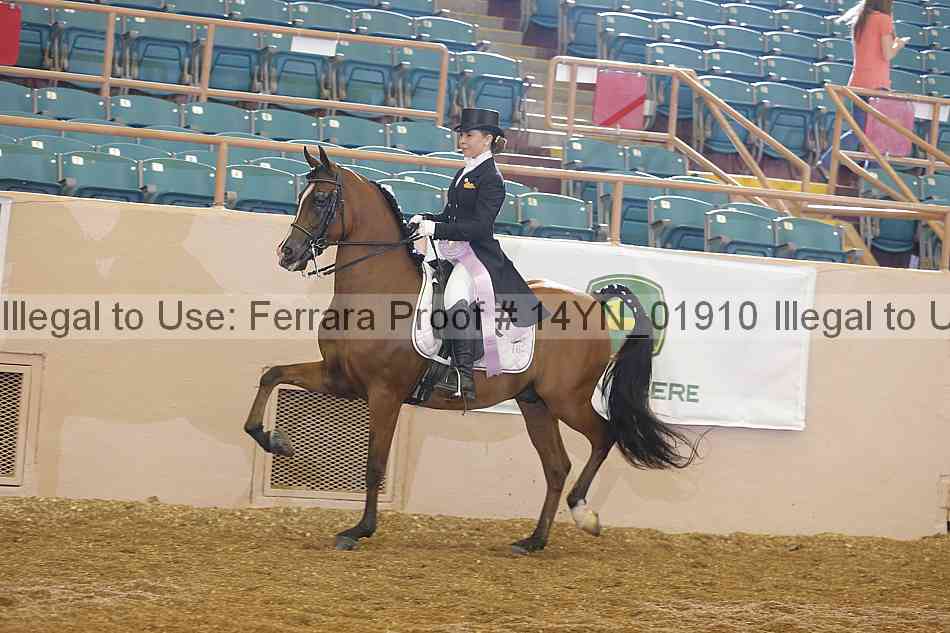 Proof 14yn_01910