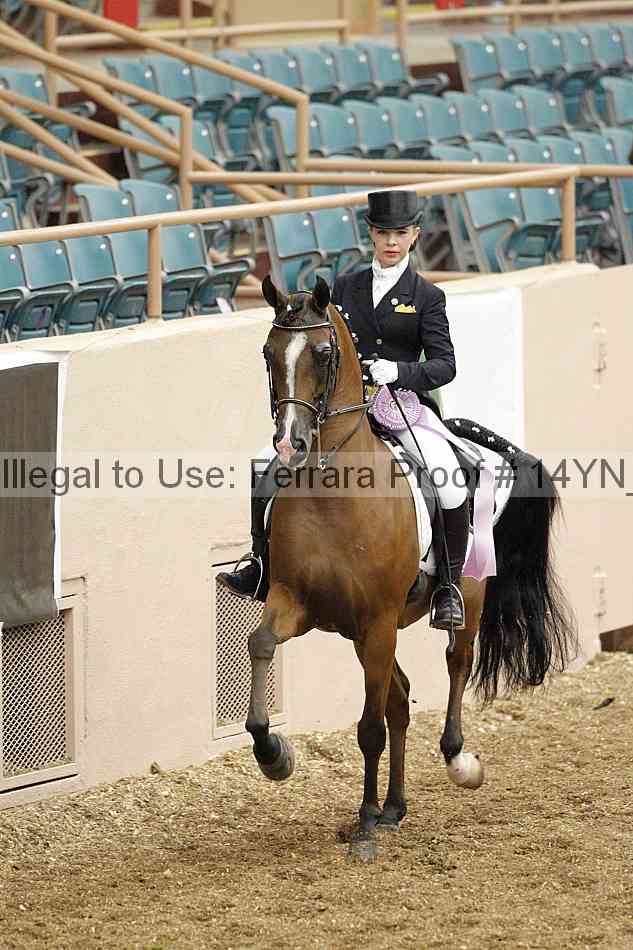 Proof 14yn_01911