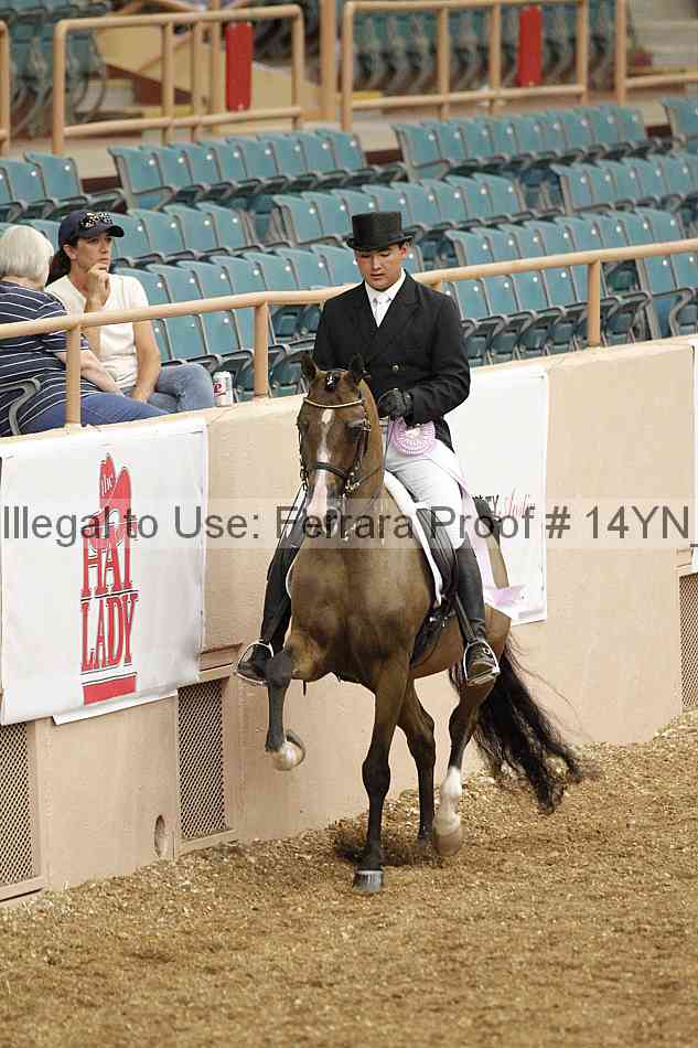 Proof 14yn_01913