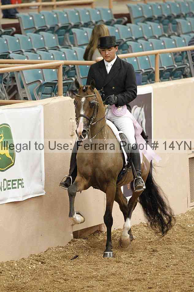 Proof 14yn_01914
