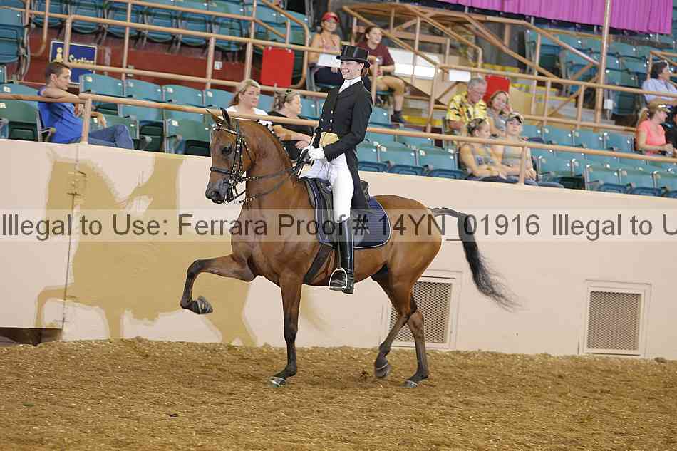 Proof 14yn_01916