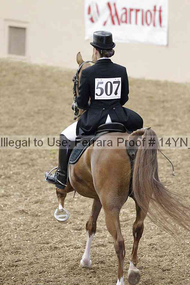 Proof 14yn_01923