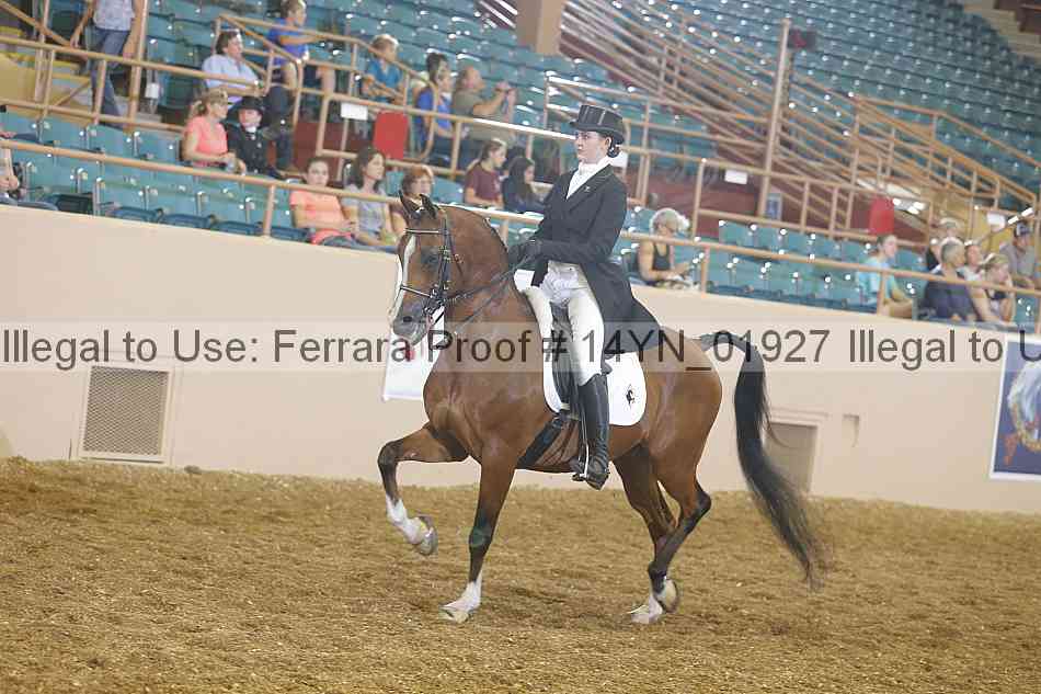 Proof 14yn_01927