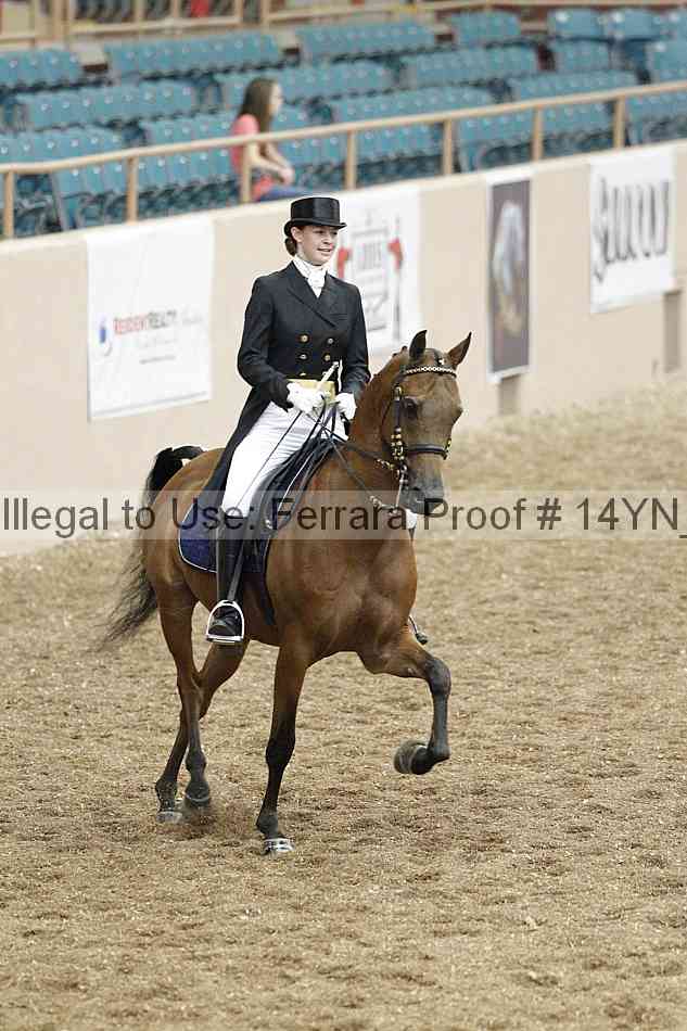 Proof 14yn_01928
