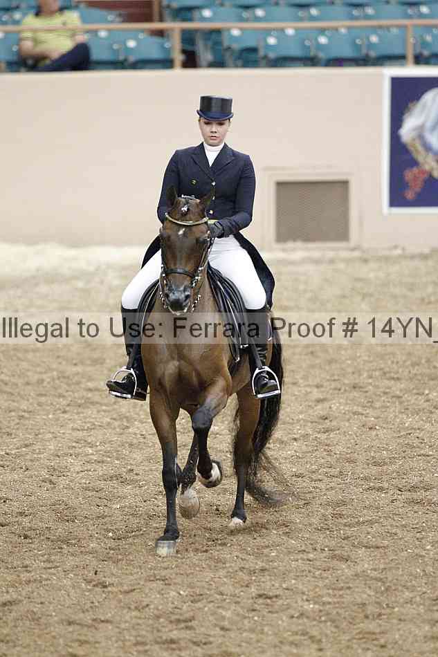 Proof 14yn_01930