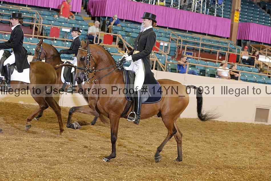 Proof 14yn_01931