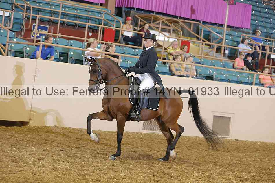 Proof 14yn_01933