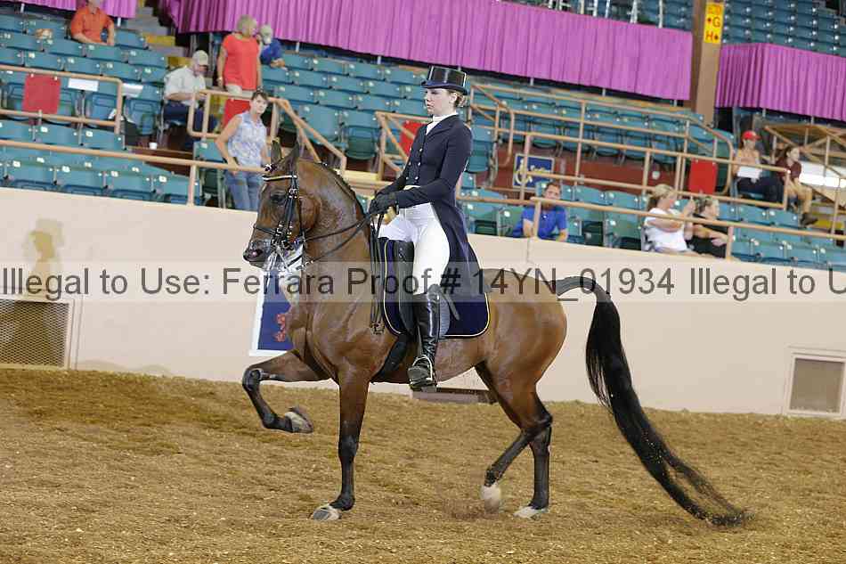 Proof 14yn_01934