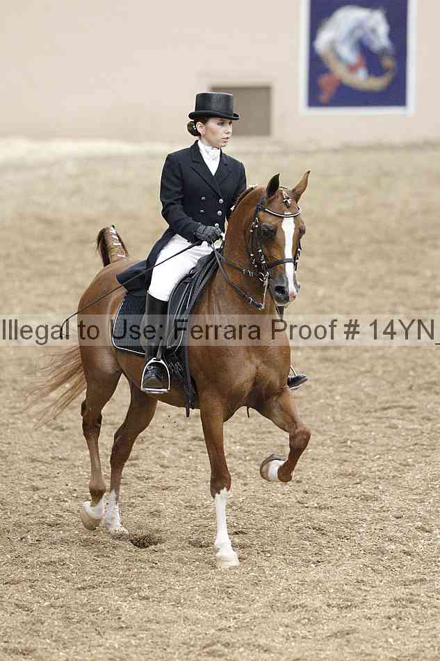 Proof 14yn_01935