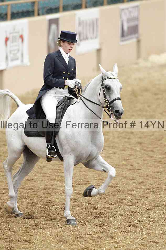 Proof 14yn_01936