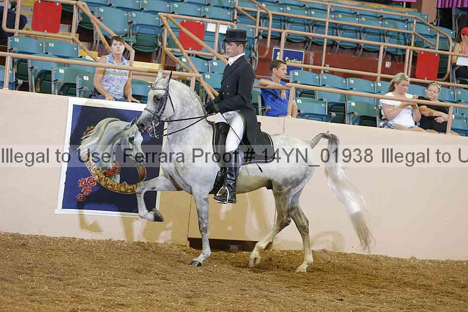 Proof 14yn_01938