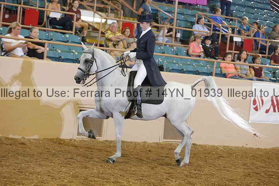 Proof 14yn_01939