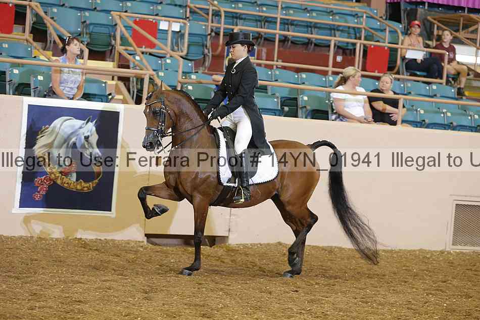 Proof 14yn_01941