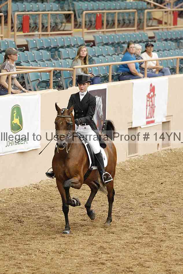 Proof 14yn_01945