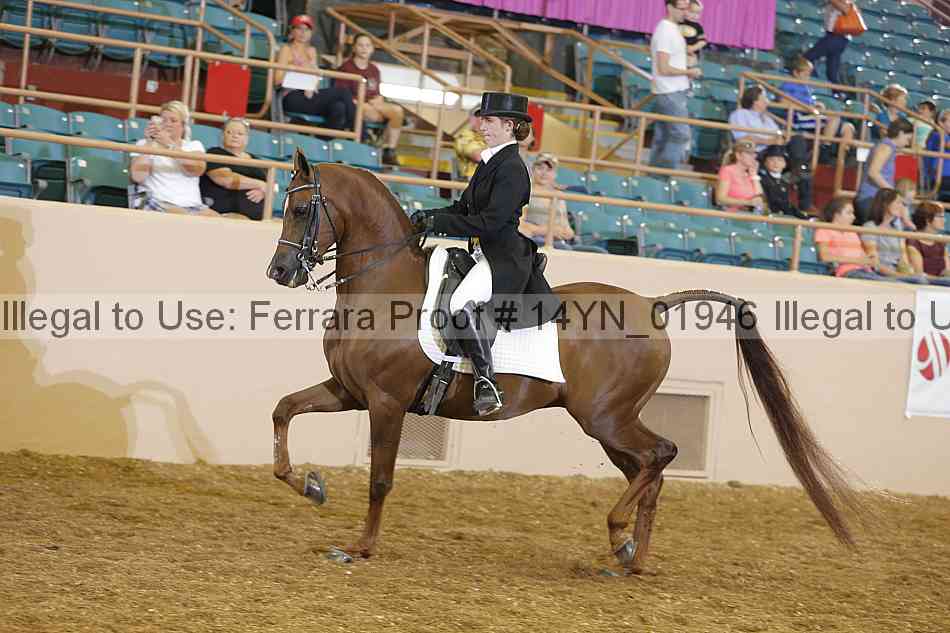 Proof 14yn_01946