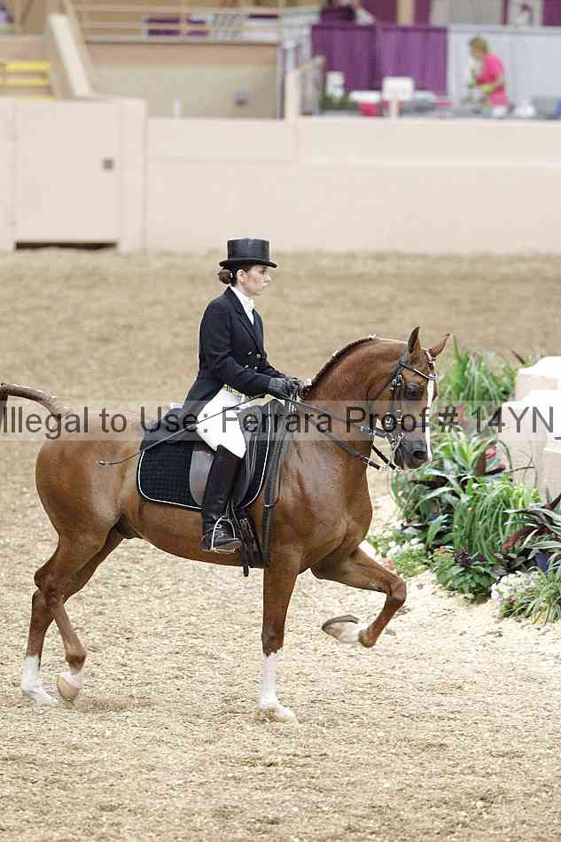 Proof 14yn_01947
