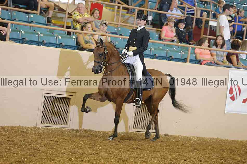 Proof 14yn_01948