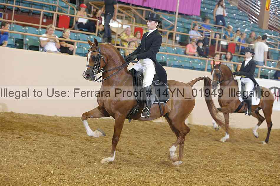 Proof 14yn_01949