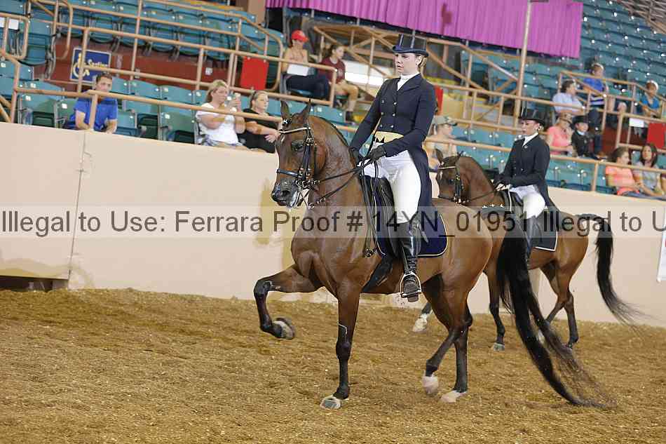 Proof 14yn_01951