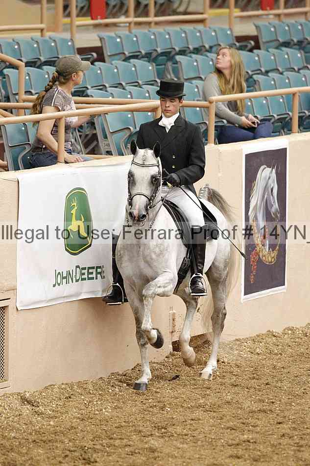 Proof 14yn_01952