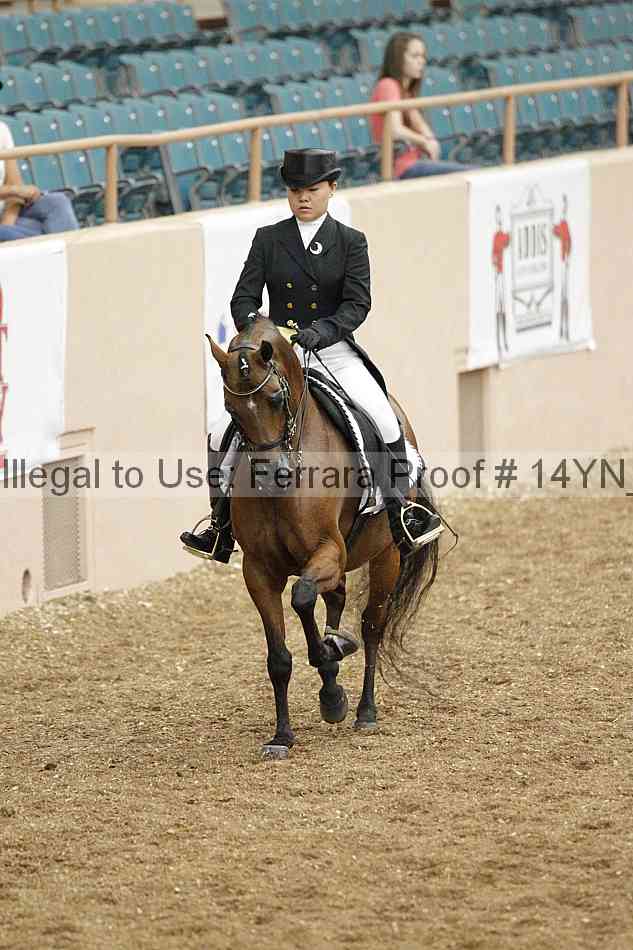 Proof 14yn_01953