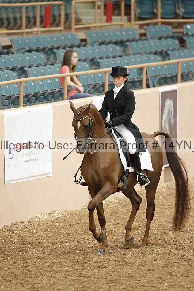 Proof 14yn_01954