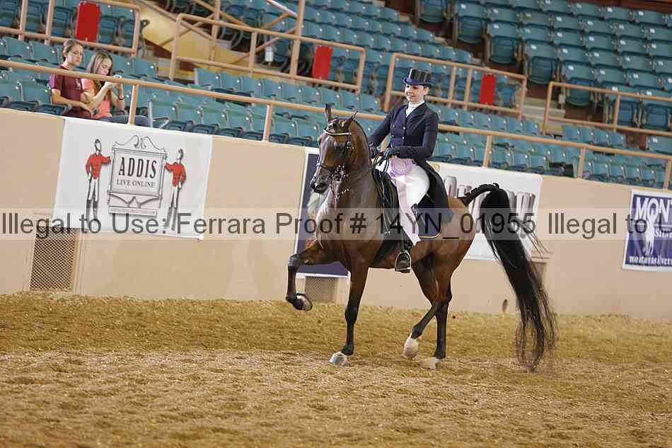 Proof 14yn_01955