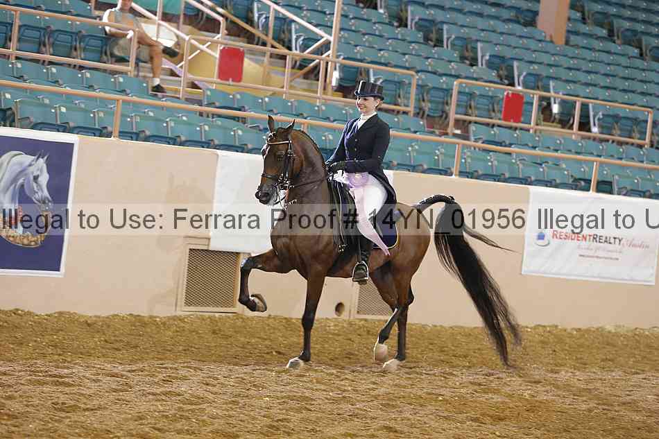 Proof 14yn_01956