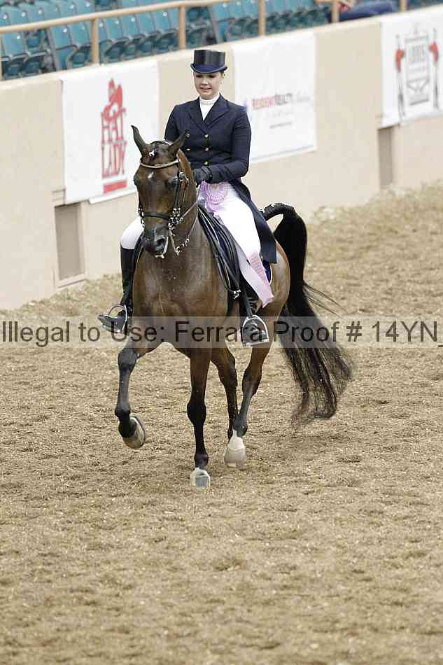 Proof 14yn_01957