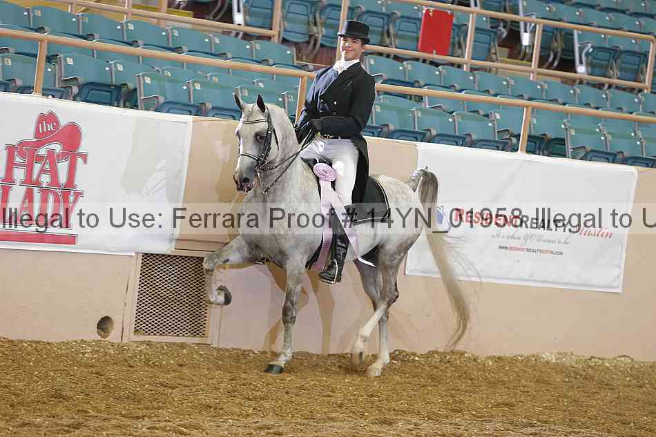 Proof 14yn_01958