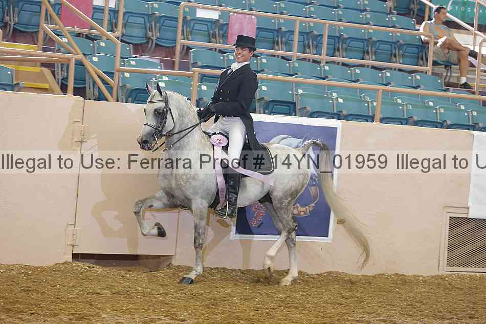 Proof 14yn_01959